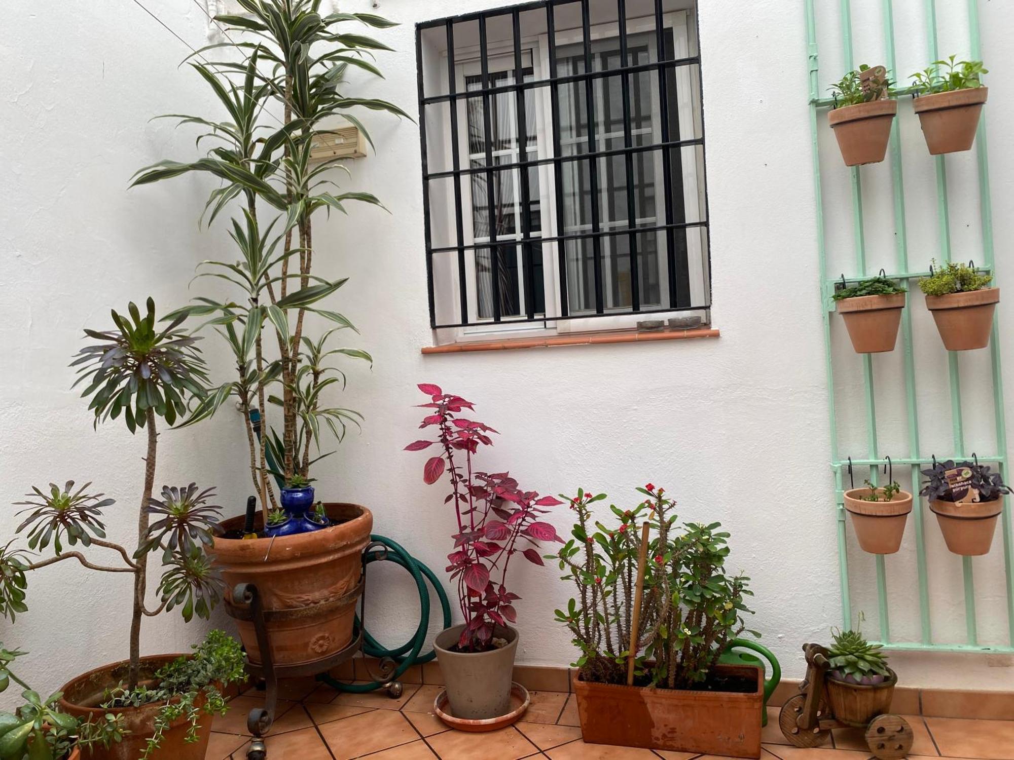 Enmitatiko Alcazar Viejo Apartment Cordoba Ngoại thất bức ảnh